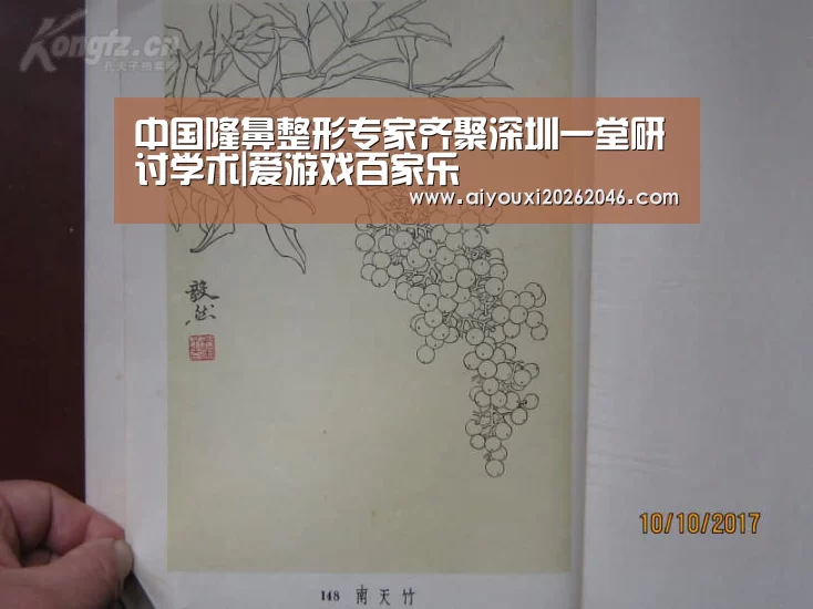 中国隆鼻整形专家齐聚深圳一堂研讨学术|爱游戏百家乐(图1) 爱游戏百家乐