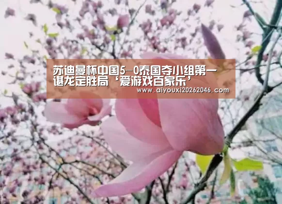 爱游戏竞猜