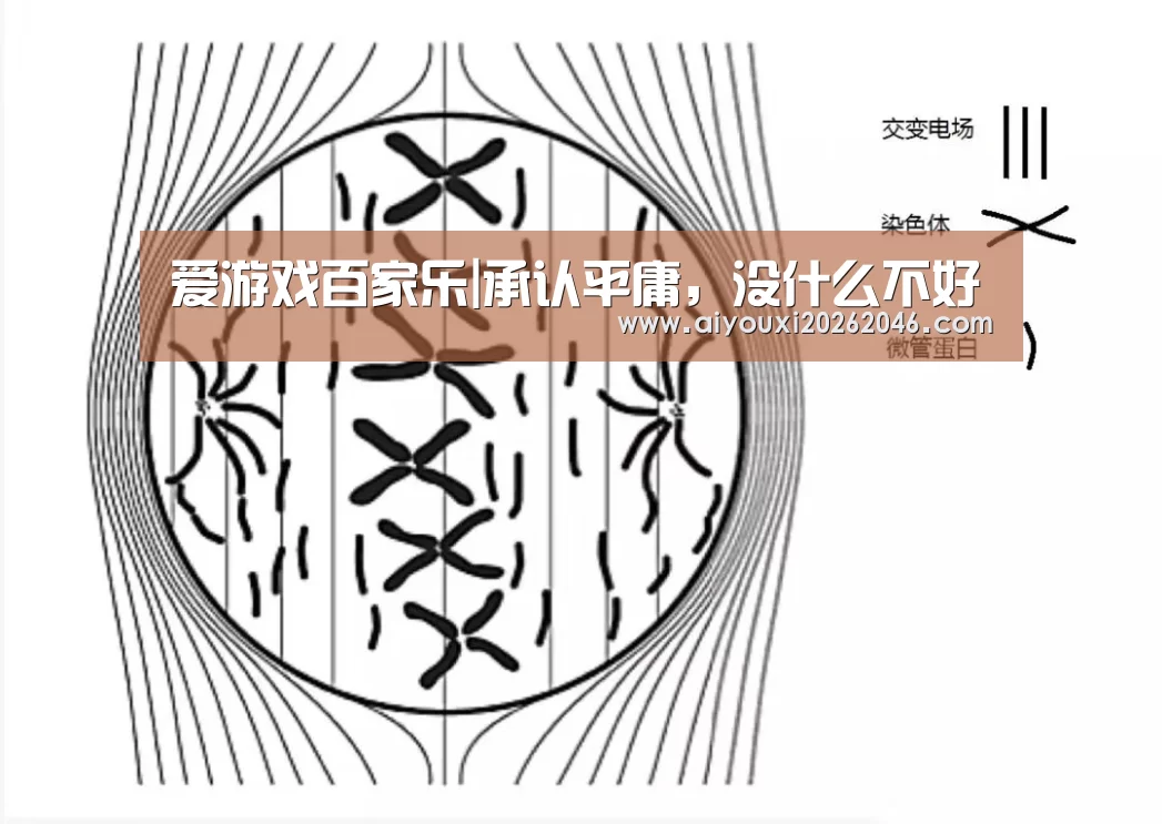 爱游戏竞猜