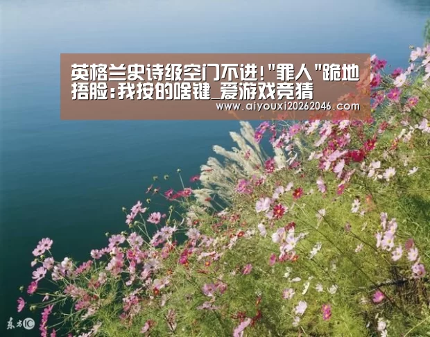 爱游戏百家乐